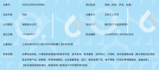 上海毅洋信息科技 专业信息咨询服务的领航者